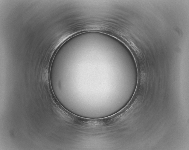 X0000115501465200911201608