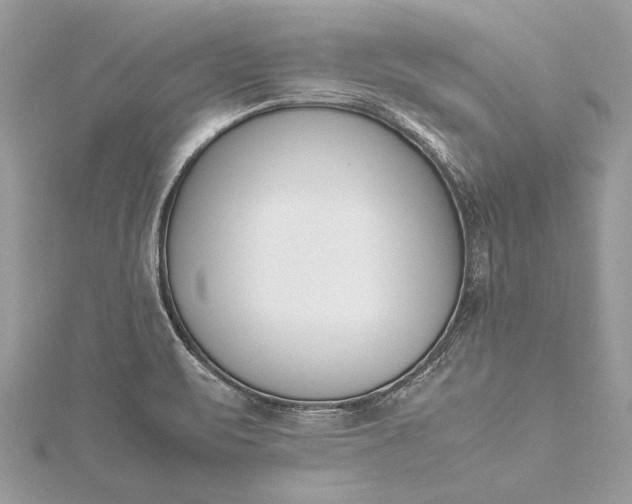 X0000115501471200911201608