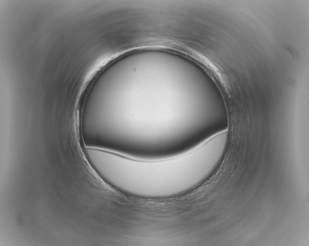 X0000115501472200911201608