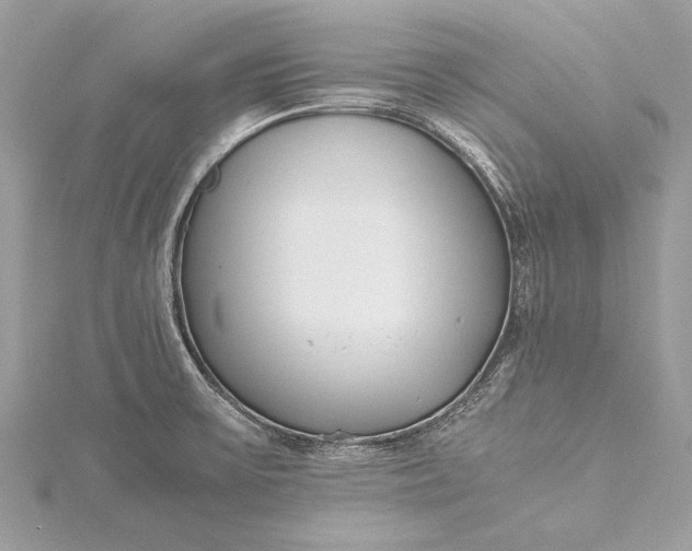 X0000115501475200911201608