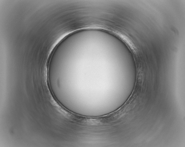 X0000115501476200911201608