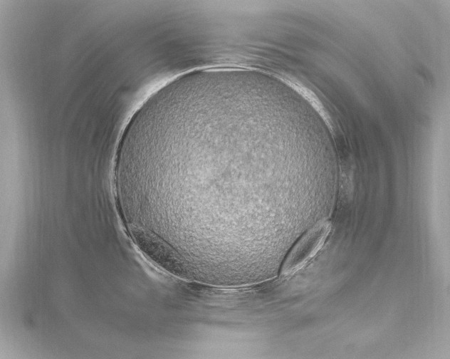X0000115501485200911201608