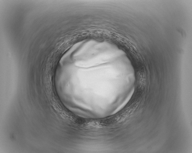 X0000115501489200911201607