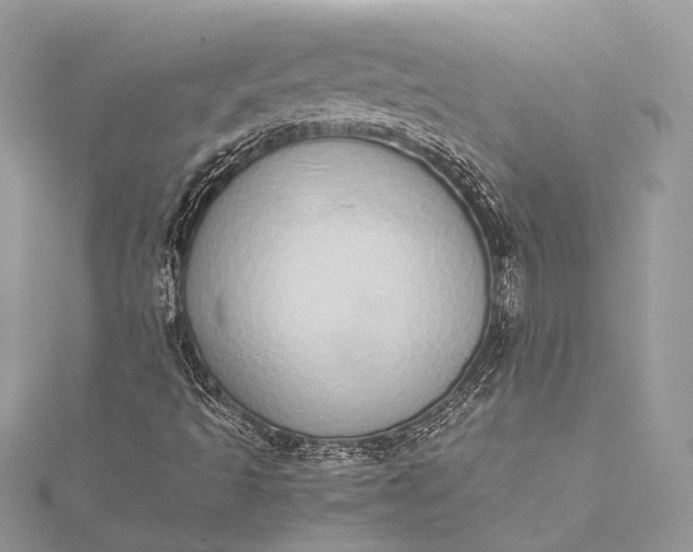 X0000115501493200911201607