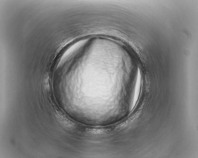 X0000115501497200911201607