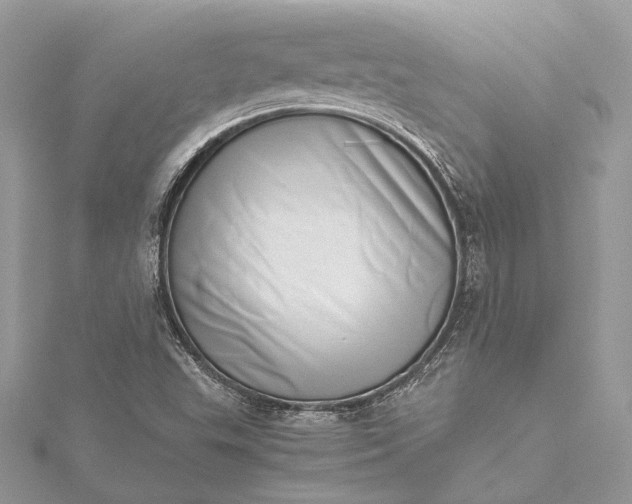 X0000115501503200911201607
