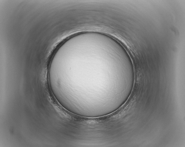 X0000115501507200911201607