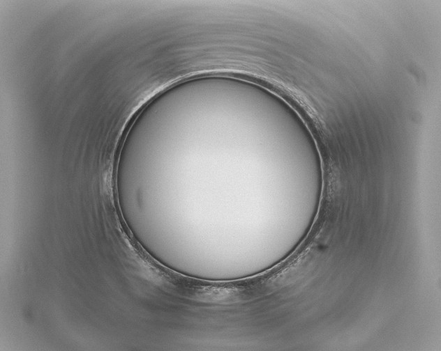 X0000115501513200911201607