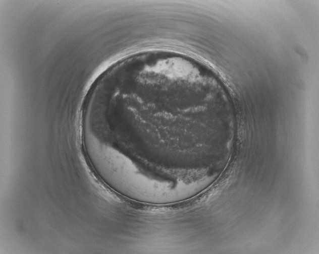 X0000115501522200911201607