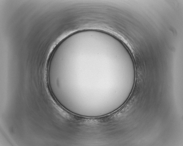 X0000115501525200911201608