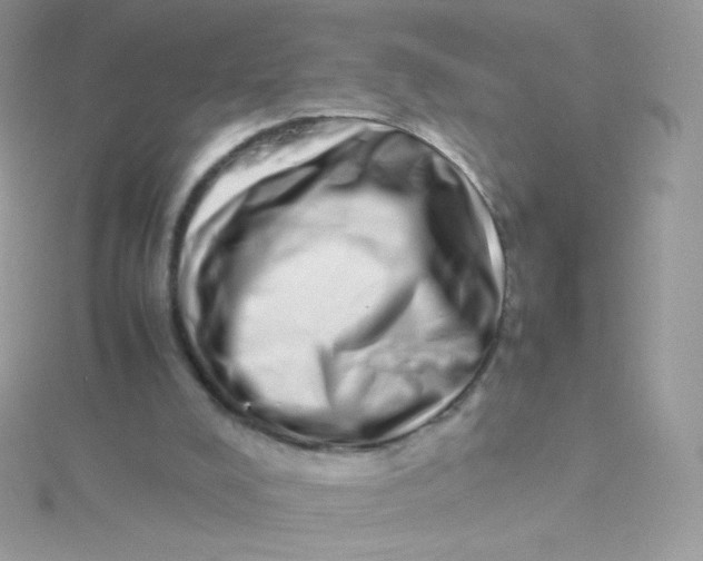 X0000115500008200911271419