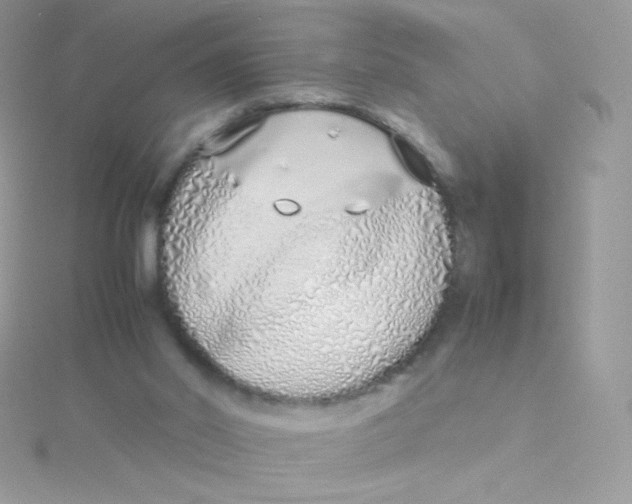 X0000115500014200911271419
