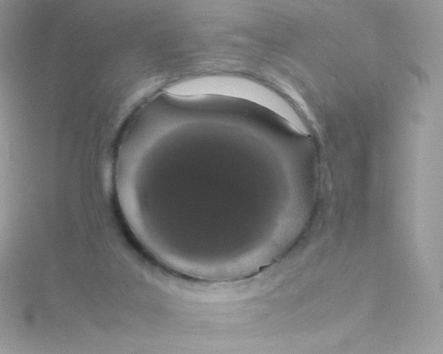 X0000115500019200911271419