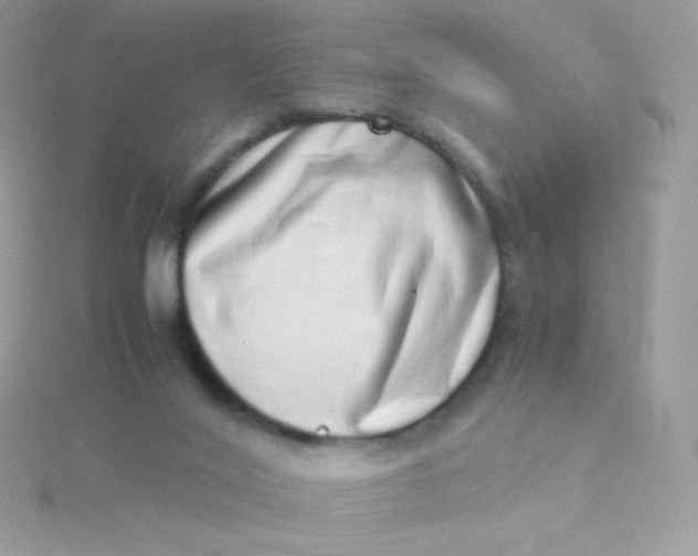 X0000115500020200911271419