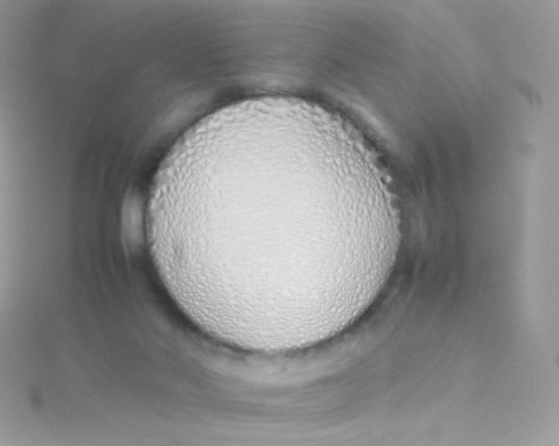 X0000115500022200911271419