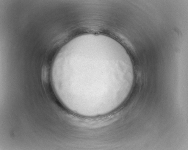 X0000115500026200911271419