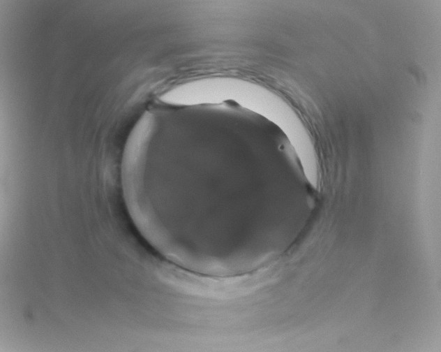 X0000115500035200911271419