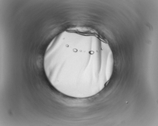 X0000115500036200911271419