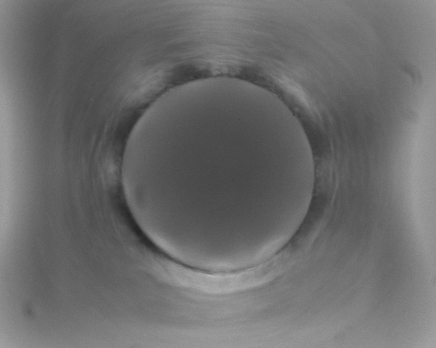X0000115500039200911271419