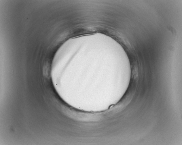 X0000115500044200911271419