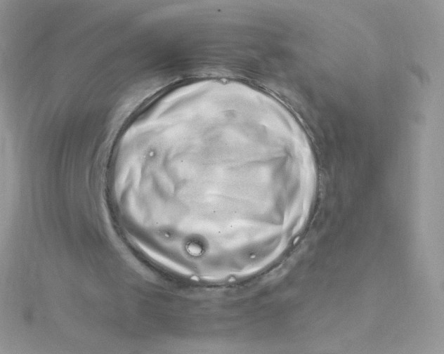 X0000115500049200911271418