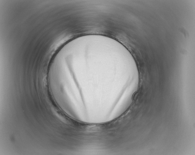 X0000115500050200911271418