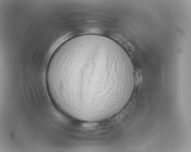 X0000115500051200911271418
