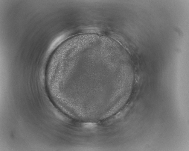 X0000115500053200911271418