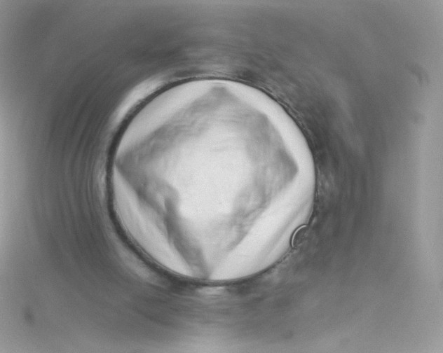 X0000115500054200911271418