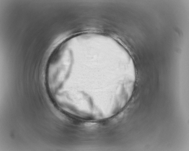 X0000115500055200911271418