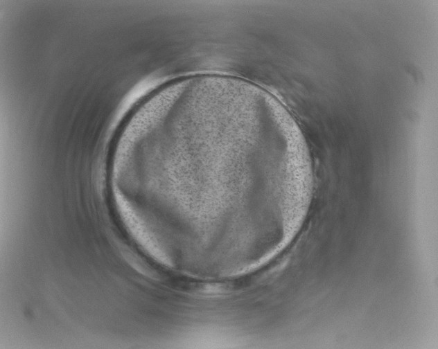 X0000115500056200911271418