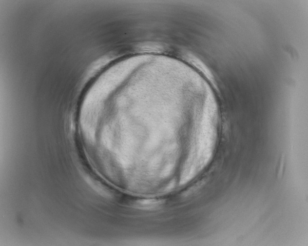 X0000115500059200911271418