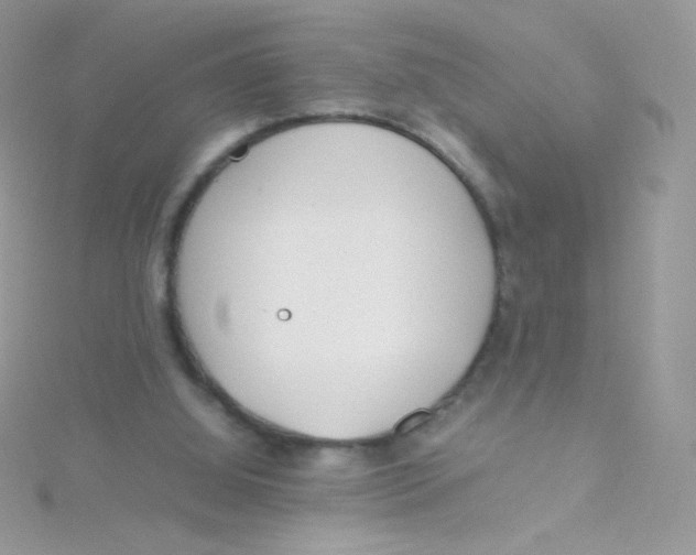 X0000115500060200911271418