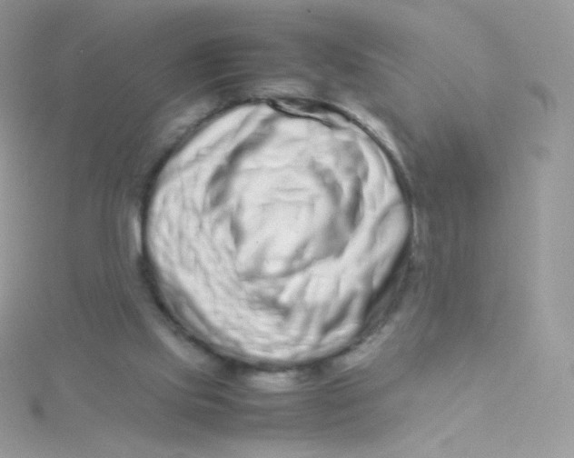 X0000115500061200911271418