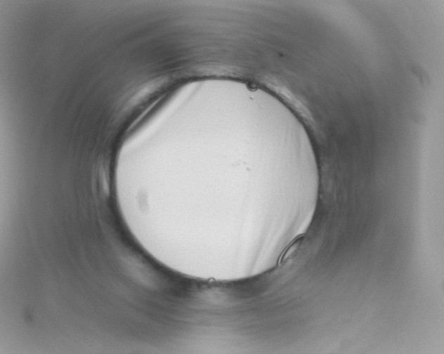 X0000115500062200911271418