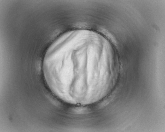 X0000115500065200911271419