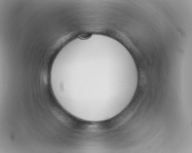 X0000115500068200911271419