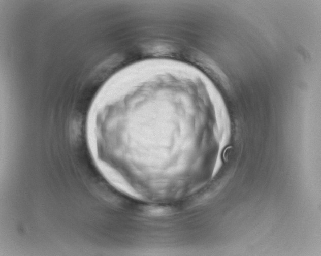 X0000115500073200911271419
