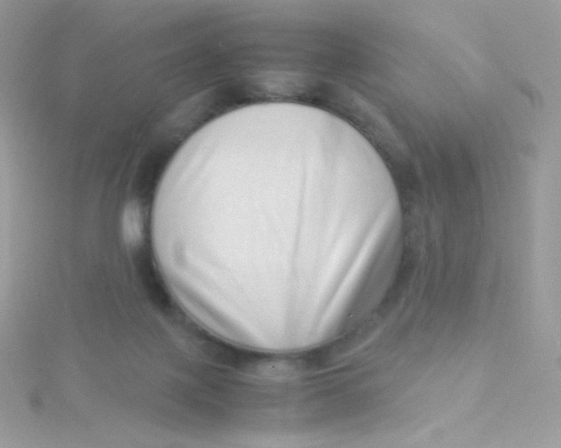 X0000115500075200911271419