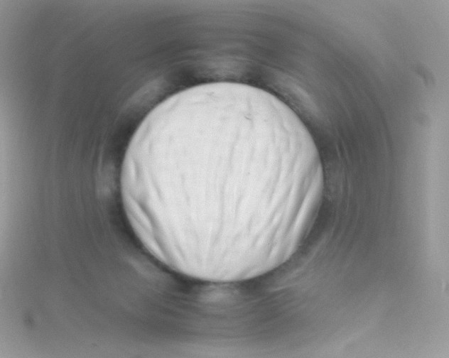 X0000115500077200911271419