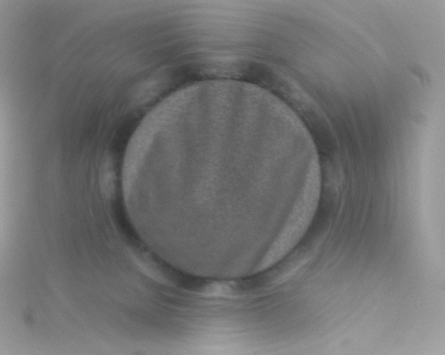 X0000115500080200911271419