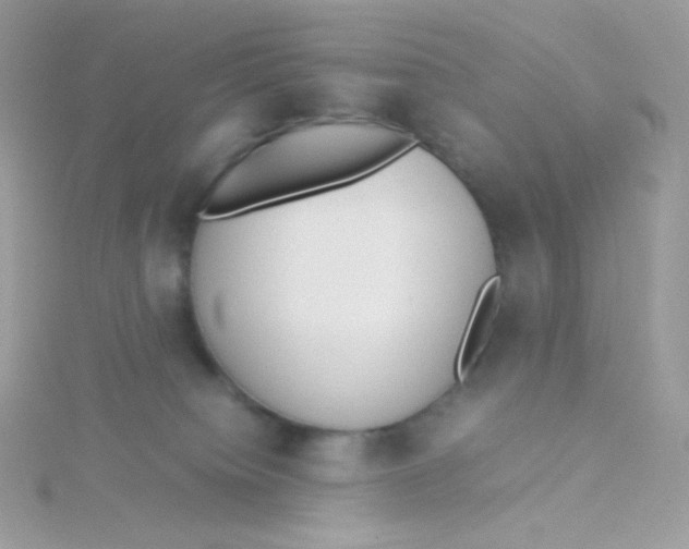 X0000115500084200911271419
