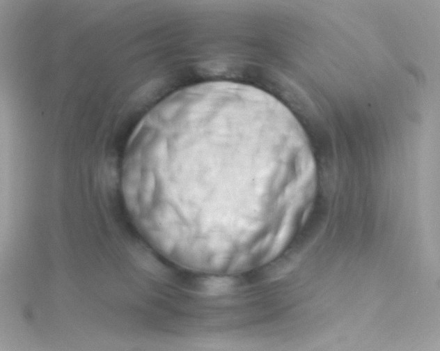 X0000115500085200911271419
