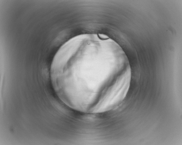 X0000115500086200911271419