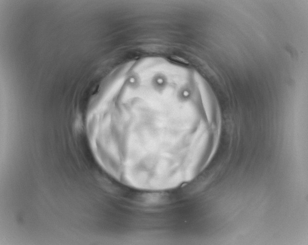 X0000115500089200911271419