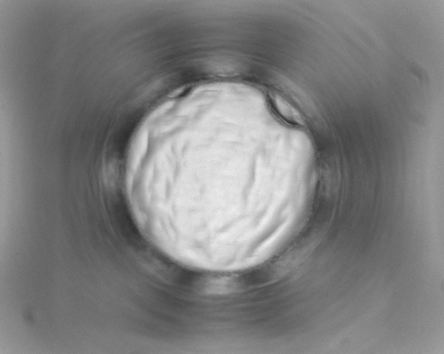 X0000115500093200911271419
