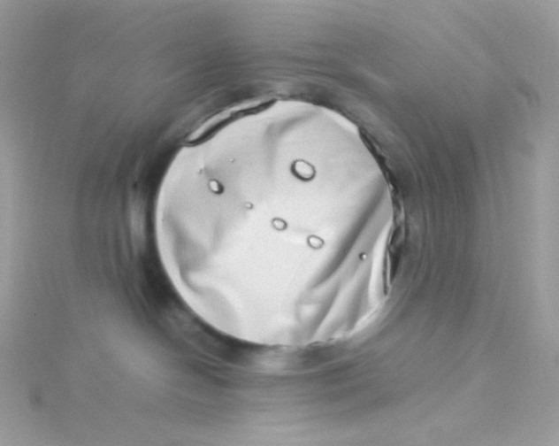 X0000115500094200911271419