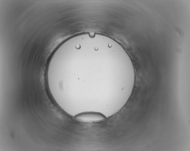 X0000115500098200911271418