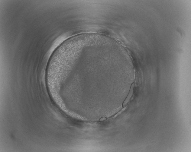 X0000115500099200911271418