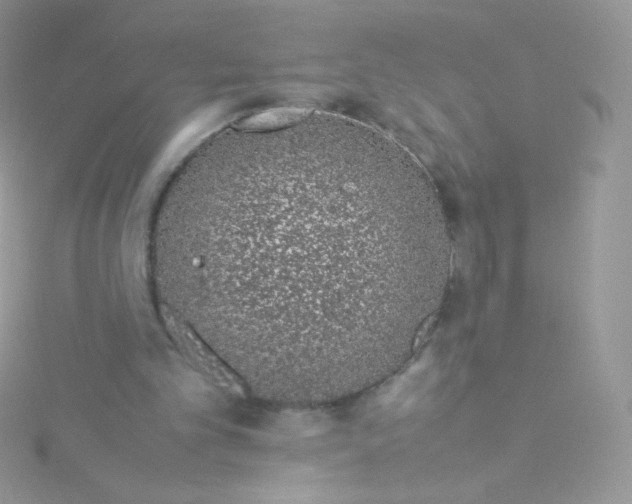 X0000115500101200911271418